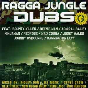 Various - Ragga Jungle Dubs Album