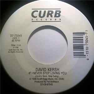 David Kersh - If I Never Stop Loving You Album