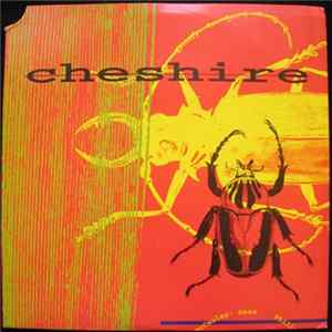 Cheshire - Disregard The Hay In My Hand Album