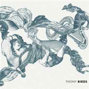 Thony - Birds Album