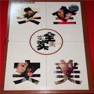 Various - 实全实美 Album