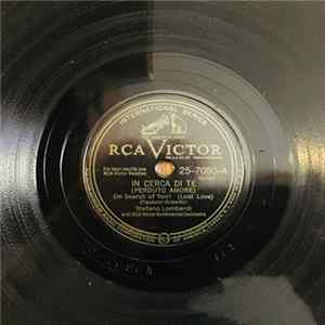 Stefano Lombardi With Rca Victor Continental Orchestra - In Cerca Di Te (Perduto Amore) / Tu Solamente Tu Album