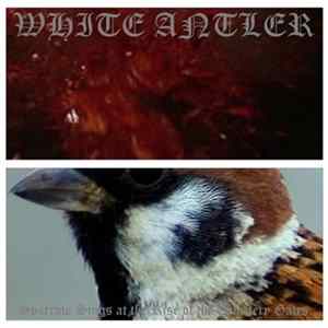 White Antler - Sparrow Sings at the Rise of the Cemetery Gates Album