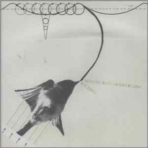 Mike Downey - Adventure, Bless, And Don't Be Sorry Album