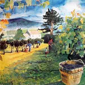 Cloud - The Vine Album