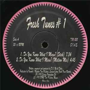 Fresh Tunes #1 - Do You Know What I Mean? Album