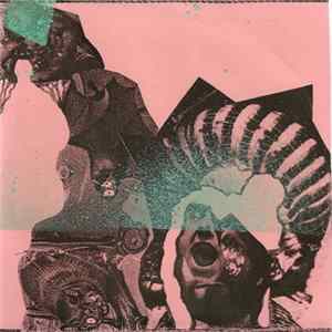 Wolf Eyes - Asylum Style 9 Album