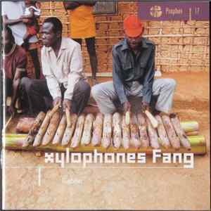 Fang - Xylophones Fang Album