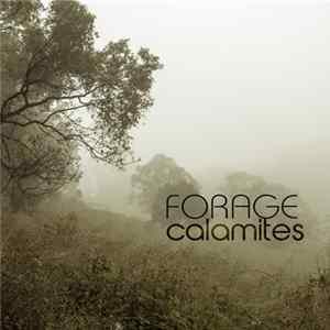 Forage - Calamites Album