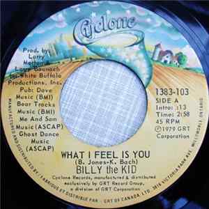 Billy The Kid - What I Feel Is You / Songpainter Album