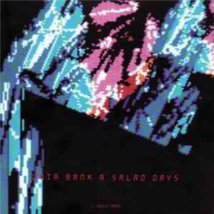 Data Bank A - Salad Days Album