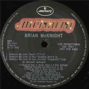 Brian McKnight - Goodbye My Love Album