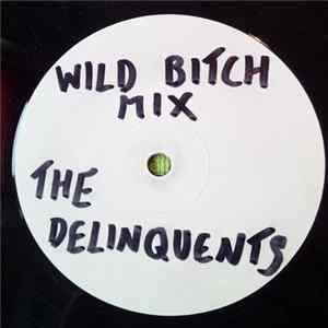 The Delinquents - The Future Album