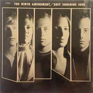 The Ninth Amendment - Soft Sunshine Soul Album