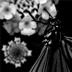 Gianluca Becuzzi - (B) Haunted Album