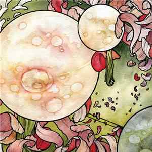 Torche - In Return Album