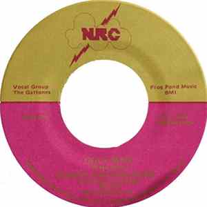 Danny Gatton Band - Ugly Man Album
