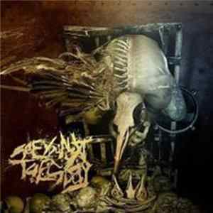 See You Next Tuesday - Parasite Album
