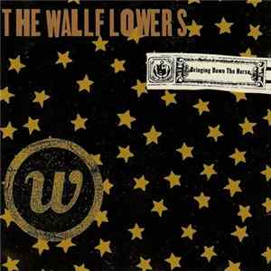 The Wallflowers - Bringing Down The Horse Album