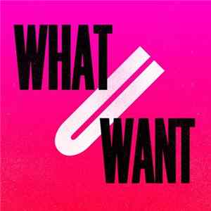 Kevin McKay Feat. J Paul Getto - What U Want (2017 Remixes) Album