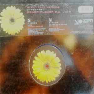 Power Flower - Power Flower E.P. Vol.2 Album