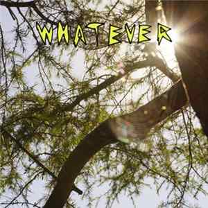 Whatever - Lucky Number 13 And One Half Album