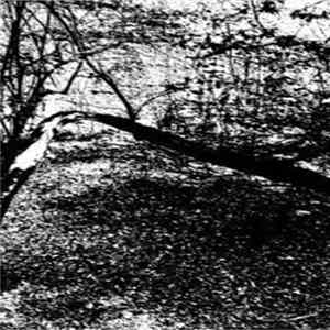 Forest Grave - Visions Of These Desolate Lands Album