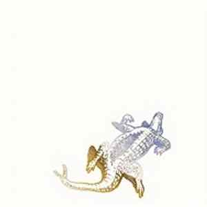 The Luck Of Eden Hall - The Luck Of Eden Hall Album