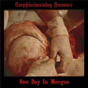 Corpseincinerating Furmace - One Day In Morgue Album