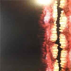 Kleft - H+ Sexualis Album