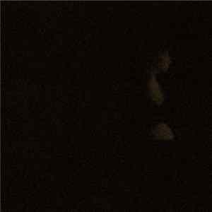 rr.gross - Days - Volume One Album