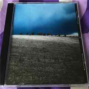 Sturmazdale - Rooms & Trees Album