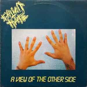 Explicit Hate - View Of The Other Side Album