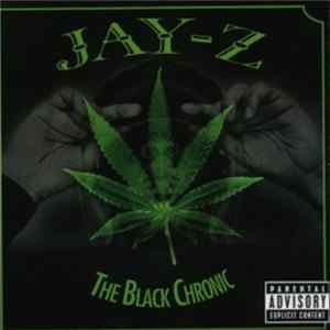 Jay-Z - The Black Chronic Album