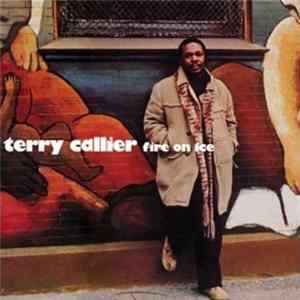 Terry Callier - Fire On Ice Album