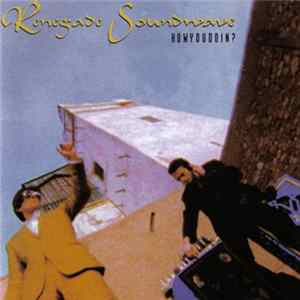 Renegade Soundwave - Howyoudoin? Album