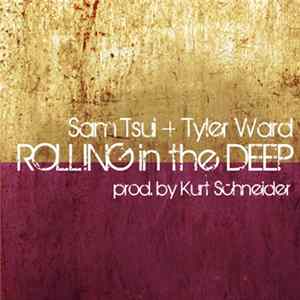 Sam Tsui + Tyler Ward - Rolling In The Deep Album
