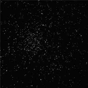 ▲▲ʘR₡EGʘ$ - Rythm Of The Night Album