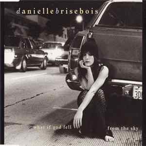 Danielle Brisebois - What If God Fell From The Sky Album