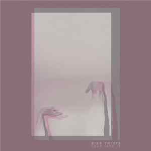 Bike Thiefs - Lean Into It Album