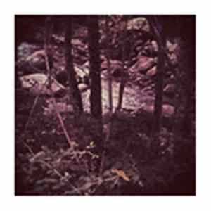 Christine Sehnaoui, Dragos Tara, D'incise - AT .EP Album