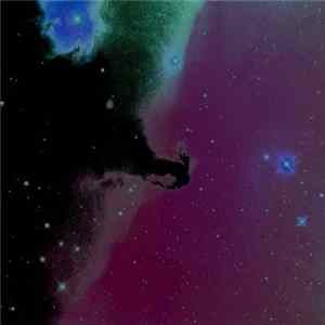 Warning Light - Fallow Album