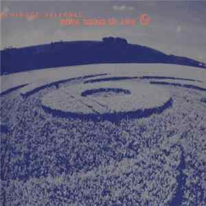 Various - More Signs Of Life Album