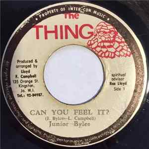 Junior Byles And Reggae Crusaders - Can You Feel It / I A Feel It Album