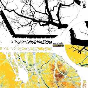 Ascalaphe - Home Trips Album
