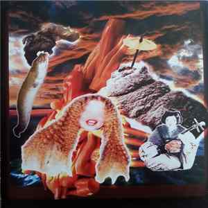 Psychedelický Flákač Na Odstřel - Psychedelický Flákač Na Odstřel Album