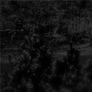 Pallow - I'll Build A Well Album