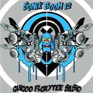 Various - Sonik Boom 12 Album
