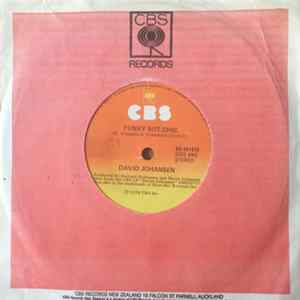 David Johansen - Funky But Chic / The Rope (The Let Go Song) Album