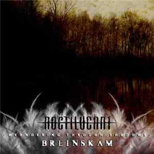 Noctilucant & Breinskam - Meandering Through Shadows Album